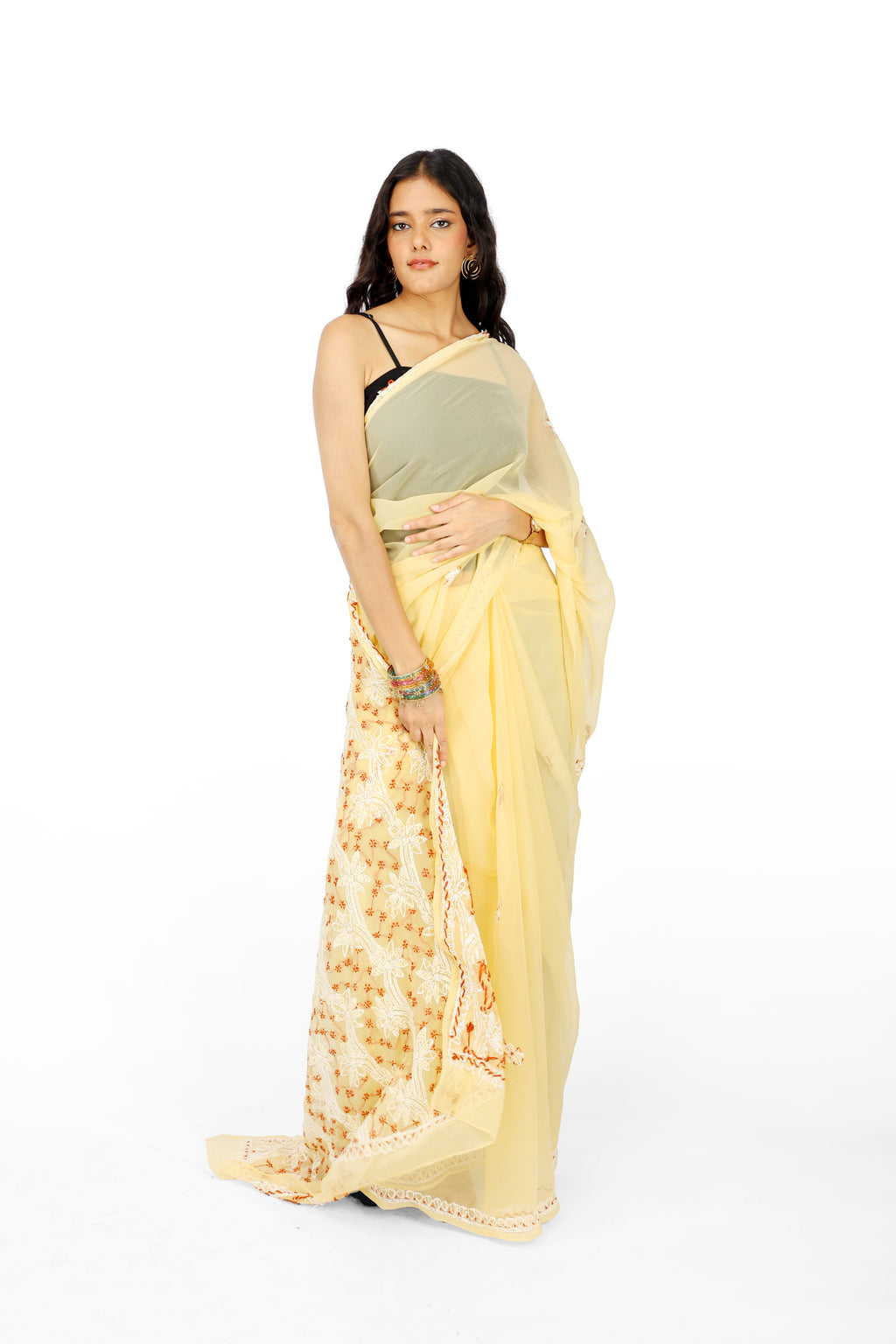 Chandni Beige Bakhia Saree