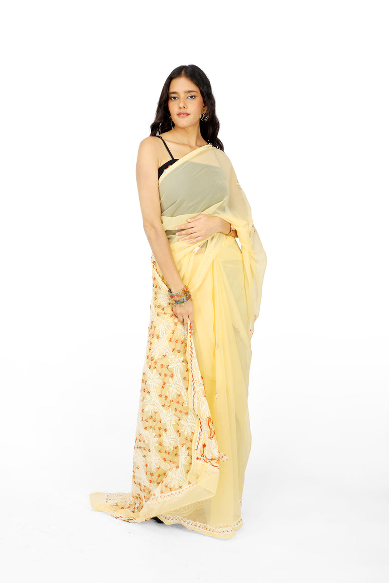 Chandni Beige Bakhia Saree