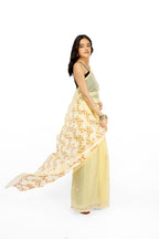 Chandni Beige Bakhia Saree