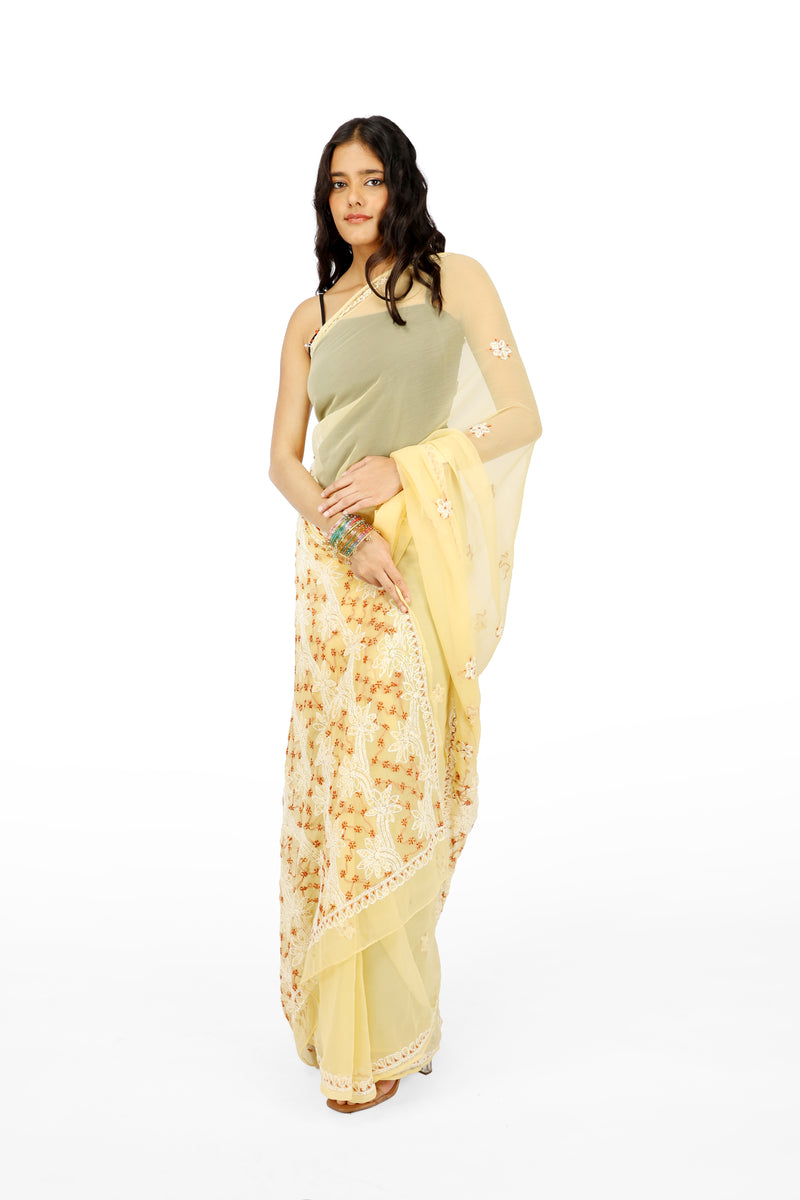 Chandni Beige Bakhia Saree